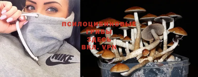 Галлюциногенные грибы Magic Shrooms  мориарти телеграм  Собинка  хочу  